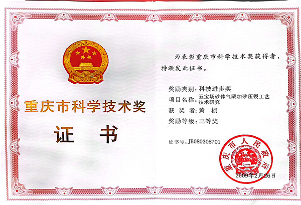 为表扬重庆市科学手艺奖获得者2009.2.jpg