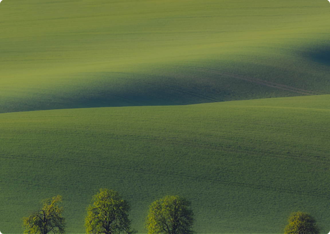 巅峰娱乐官网-不凡成绩非凡,相信品牌的实力